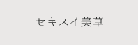 セキスイ美草畳表