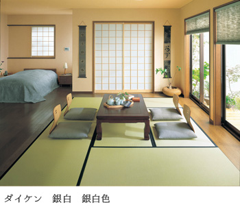 ダイケン健やかおもて　銀白　銀白色
